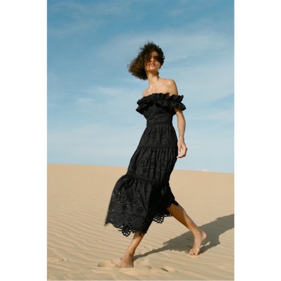 ZARA NWT BLOGGERS FAV EMBROIDERED MIDI DRESS 🌸 - Picture 11 of 11